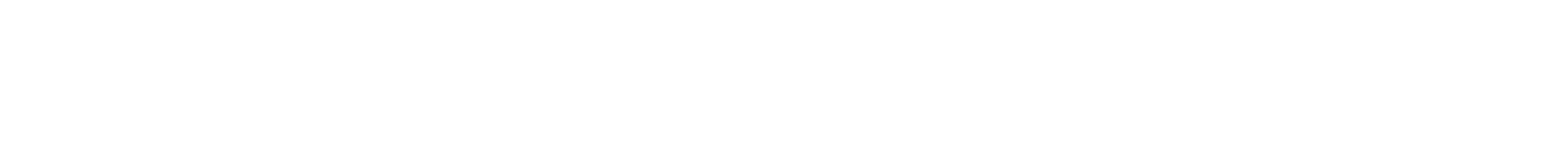 Witzenmann logo