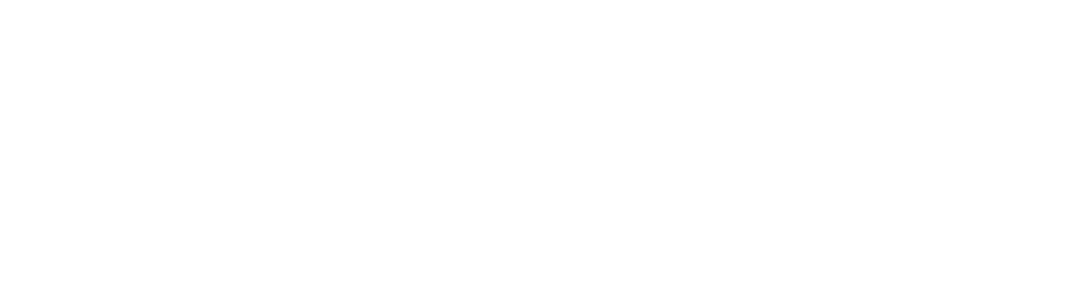 Techem logo